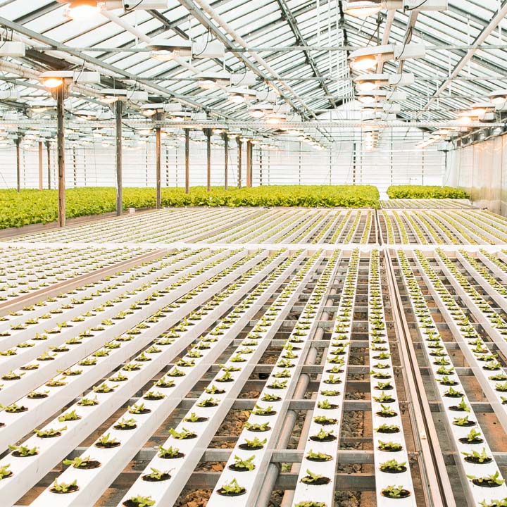 Infinity Pipework - Agriculture Industry